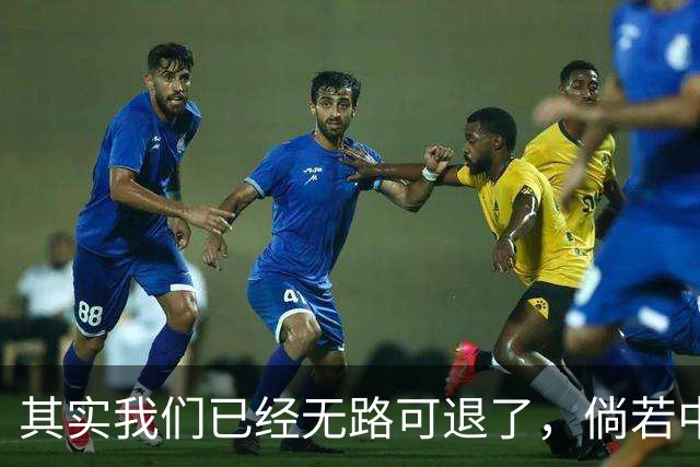 其实我们已经无路可退了，倘若中国再度落后，西方断然不会给我们重新崛起的机会